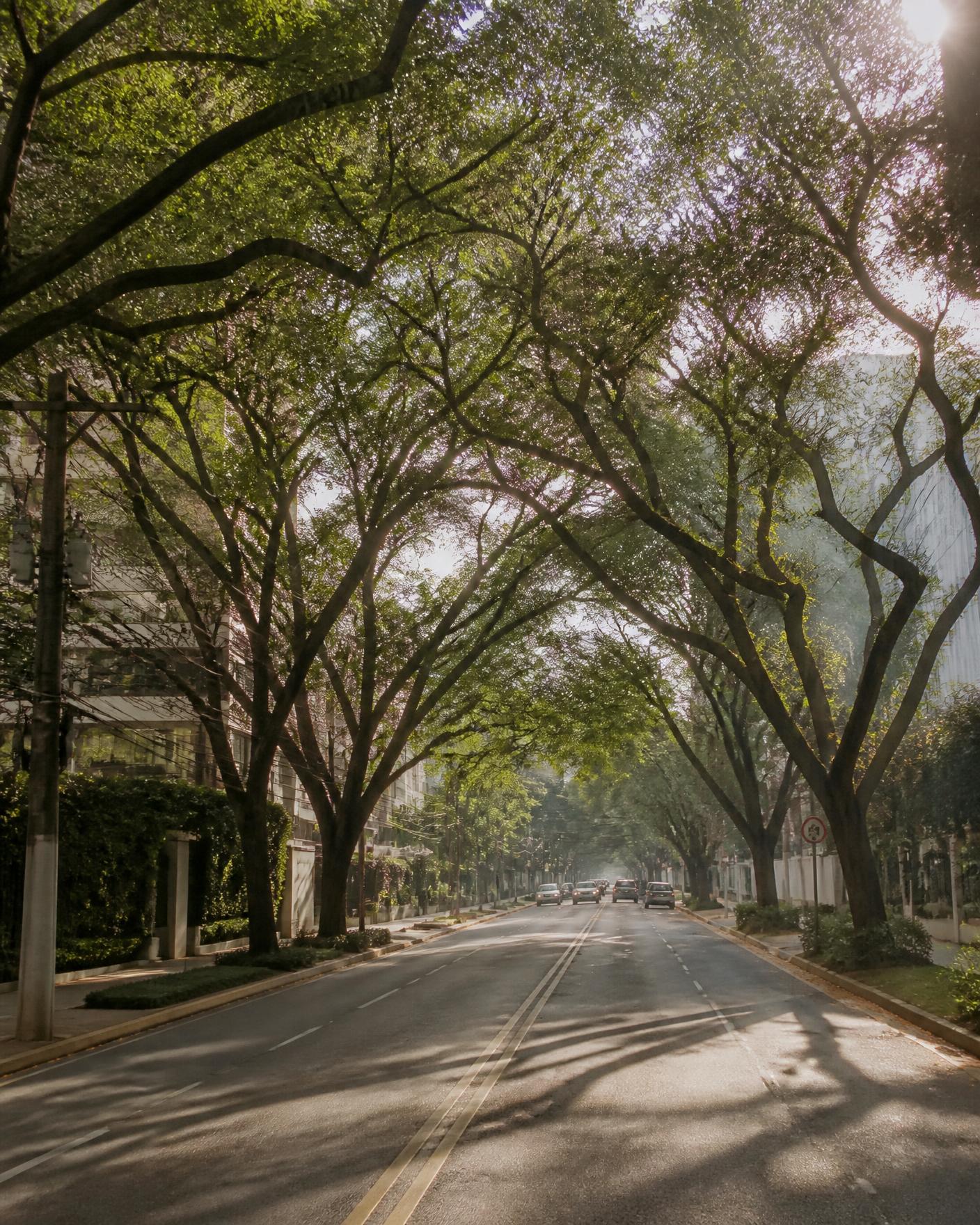 Rua residencial em Moema, São Paulo