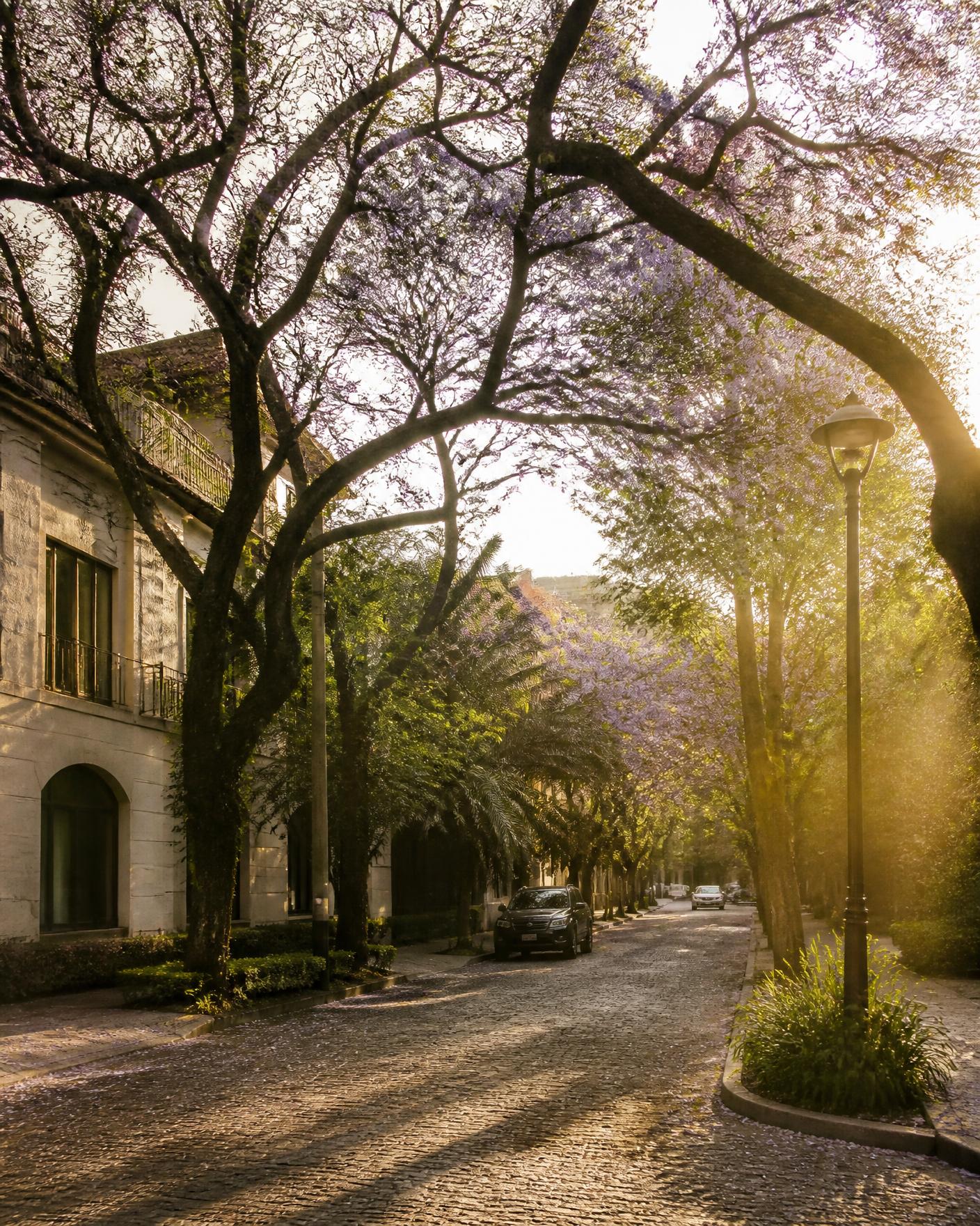 Rua residencial em Vila Nova Conceição, São Paulo